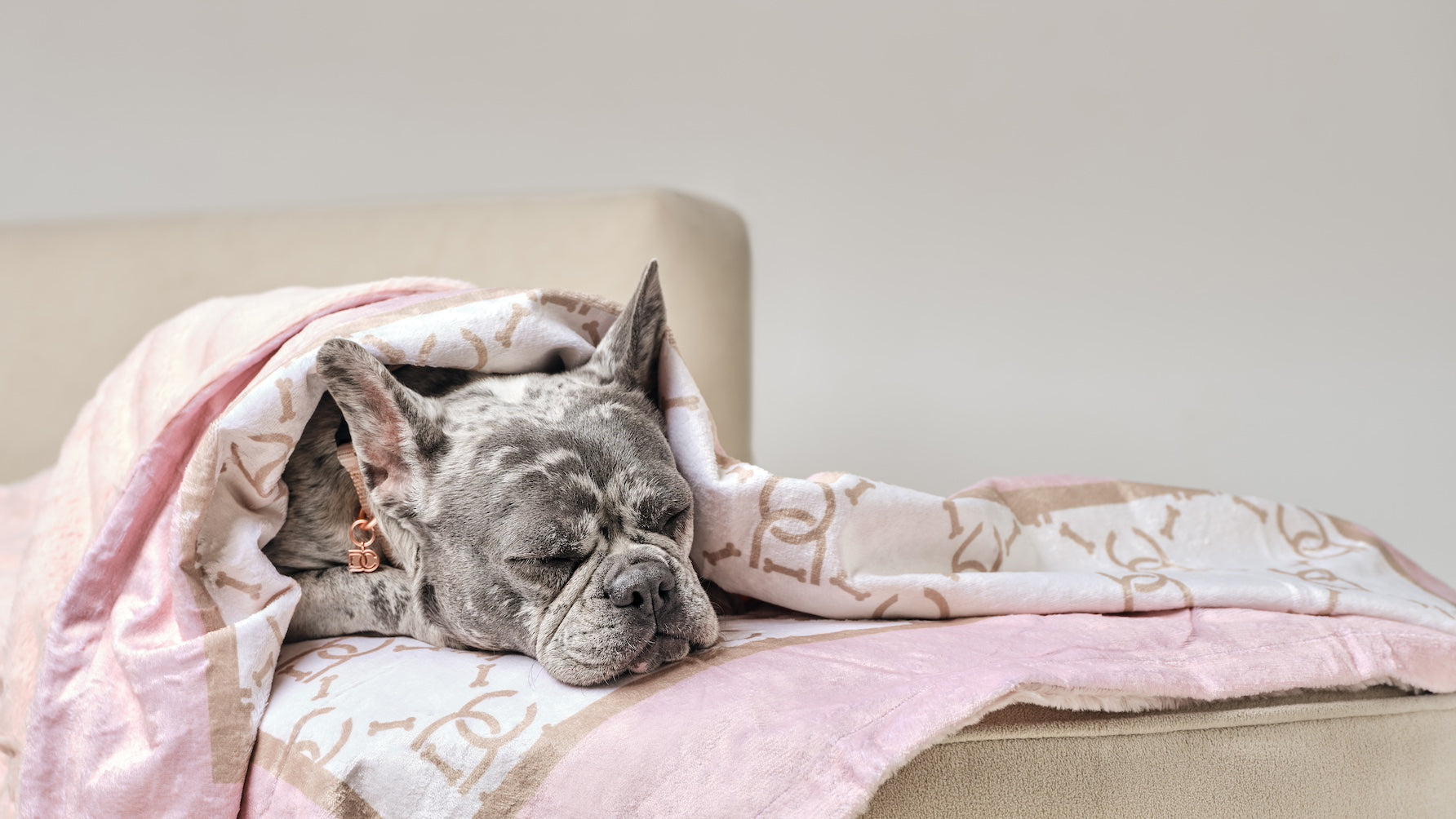 French Bulldog Pink Sleeping on Waterproof Dog Blanket
