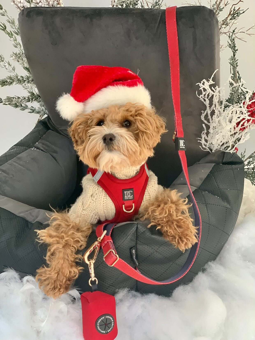 Making Seasons Bark! 10 Tips For Spending The Holidays With Your Dog