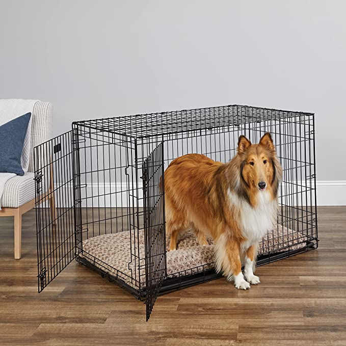 The 8 Highest-Rated Amazon Finds For Your Dog