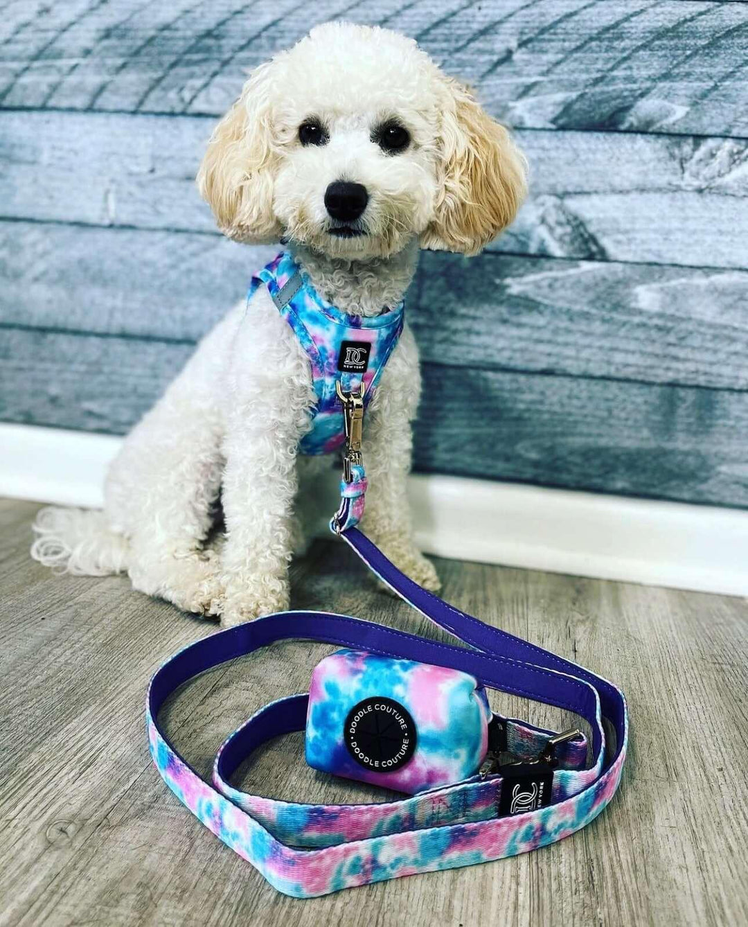 Harness for a puppy