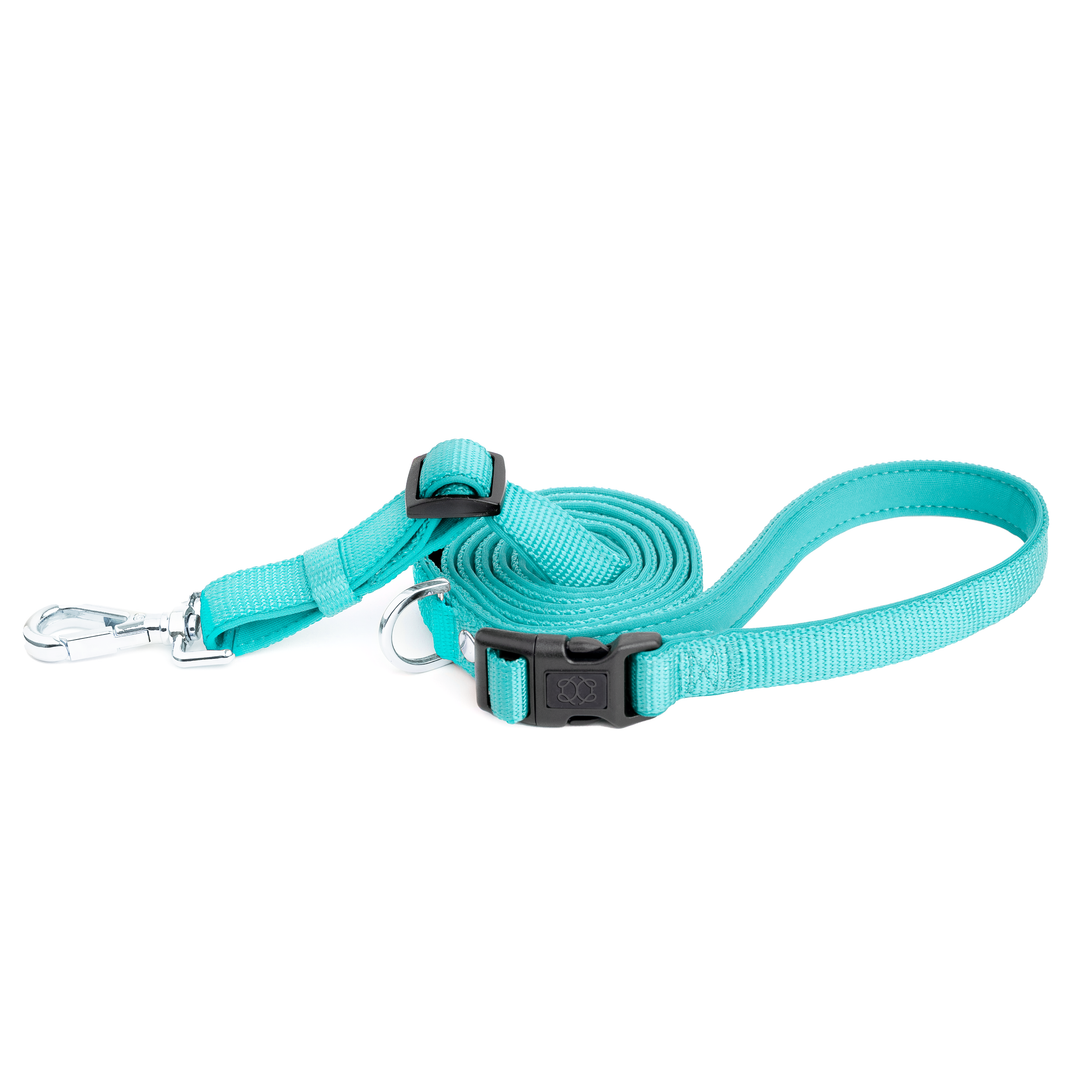 Hands free Adjustable Dog Leash Fifth Avenue Blue Doodle Couture