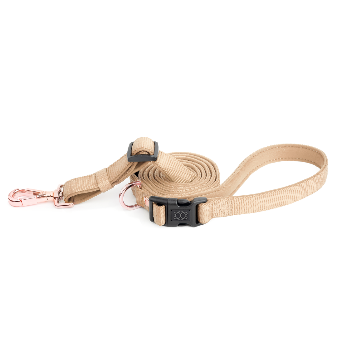 Buy Designer Dog Leash Doodle Couture