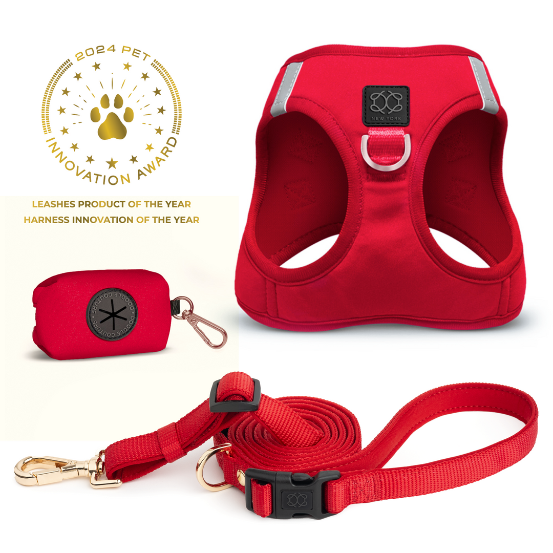 Luxe No Pull Step In Dog Walking Set Red