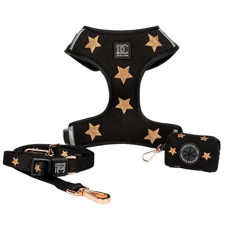 Rockstar Embroidered Adjustable Harness Dog Walking Set