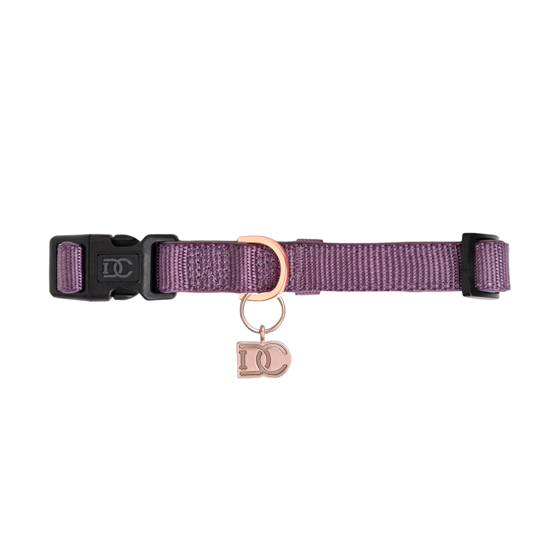 Pet Collar With Charm - Purple