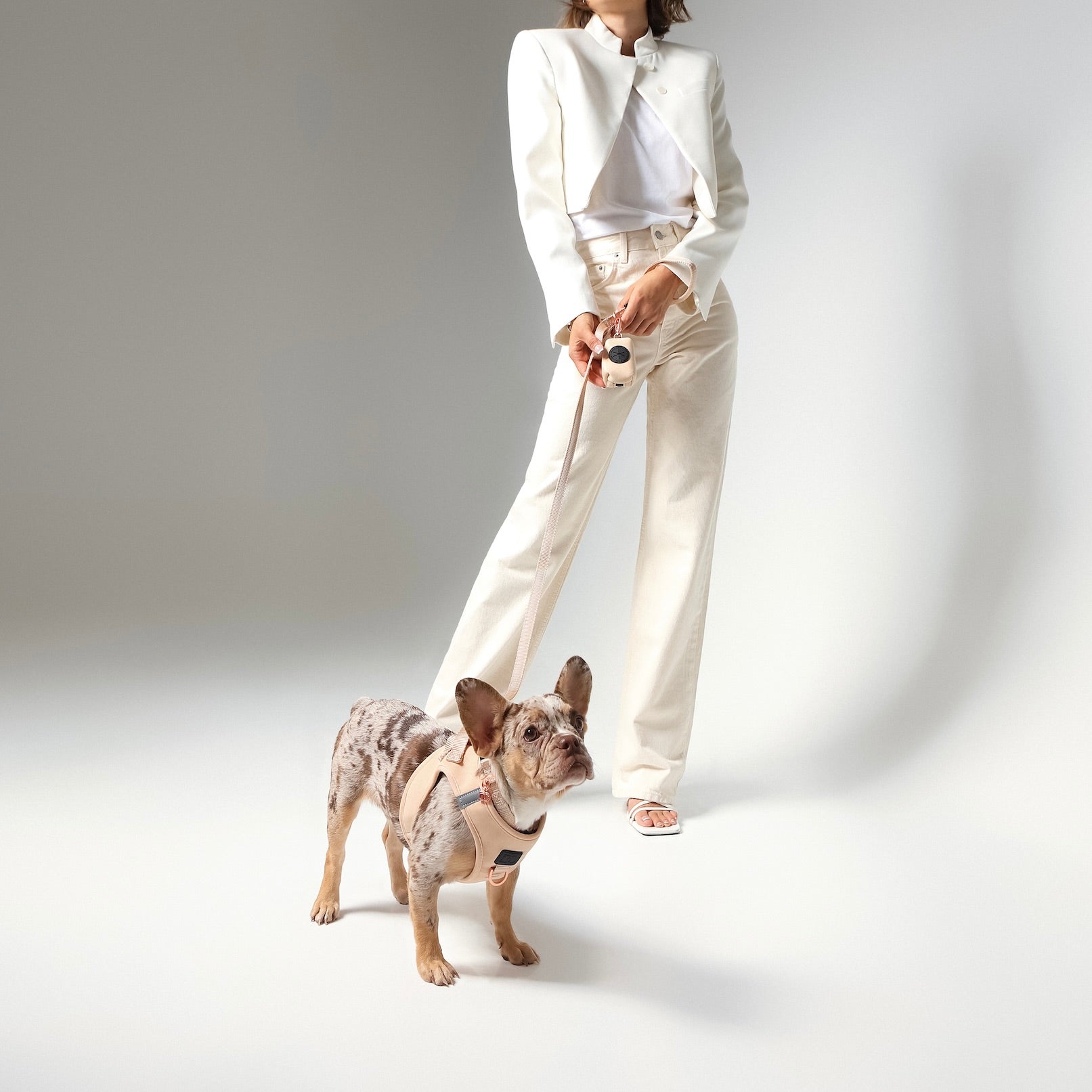 Luxury Dog Harnesses, Designer Puppy Harness