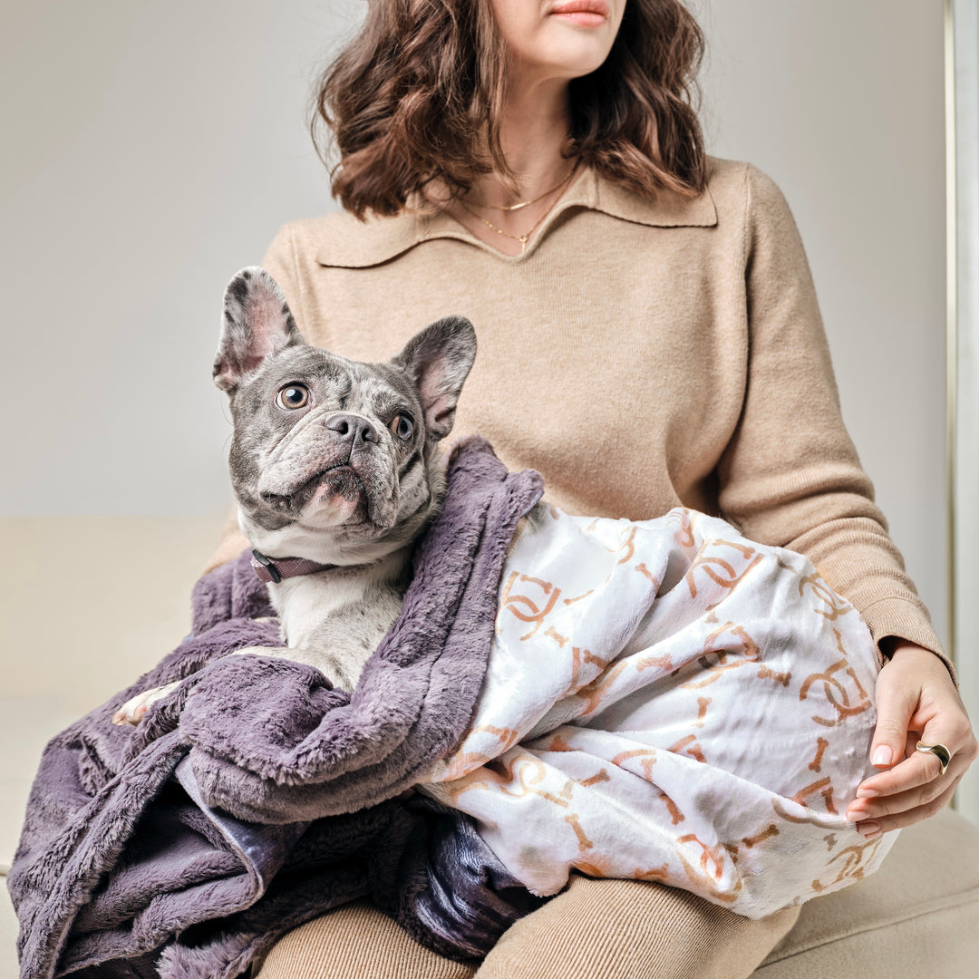 Luxe Monogram Waterproof Dog Blanket - Steel Gray