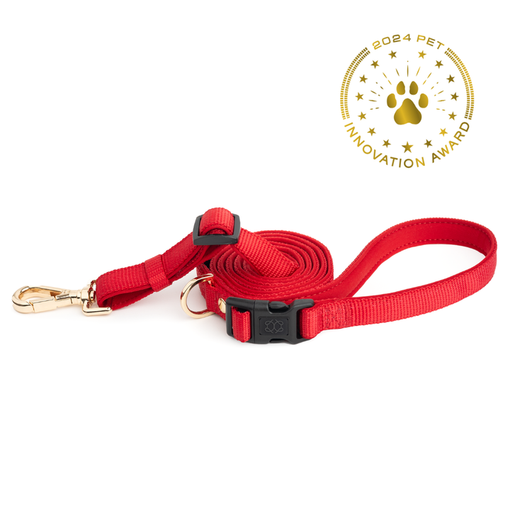 designer dog leashes and collars, designer dog collar and leash, pet accessories designer, fancy harness for dogs, luxury dog harness, fancy dog stuff, pet accessories designer, stylish dog leash