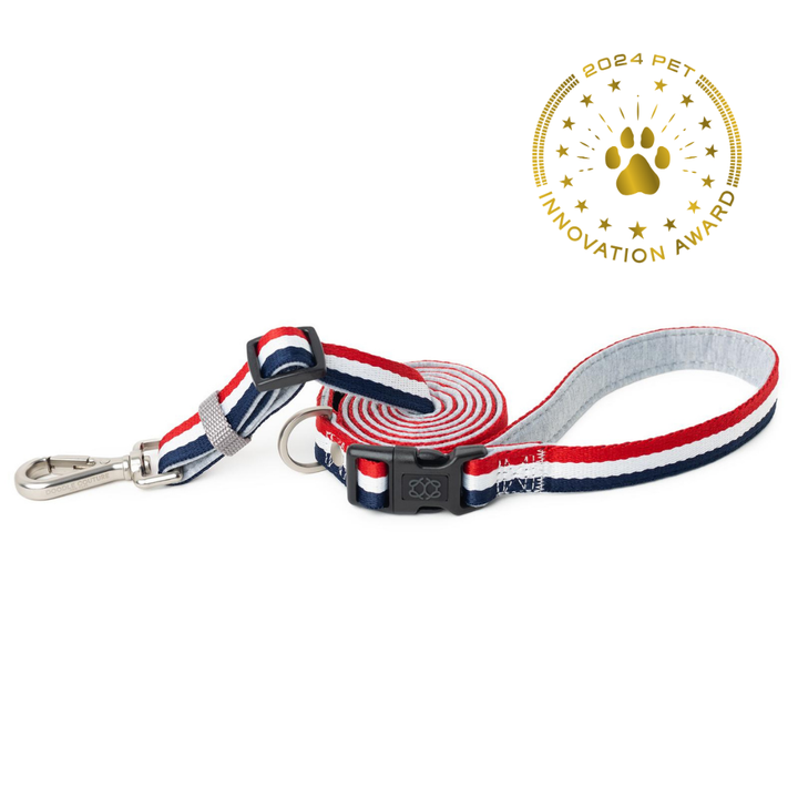 designer dog leashes and collars, designer dog collar and leash, pet accessories designer, fancy harness for dogs, luxury dog harness, fancy dog stuff, pet accessories designer, stylish dog leash