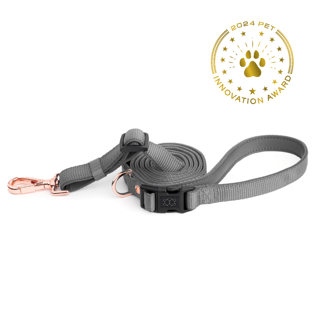 designer dog leashes and collars, designer dog collar and leash, pet accessories designer, fancy harness for dogs, luxury dog harness, fancy dog stuff, pet accessories designer, stylish dog leash