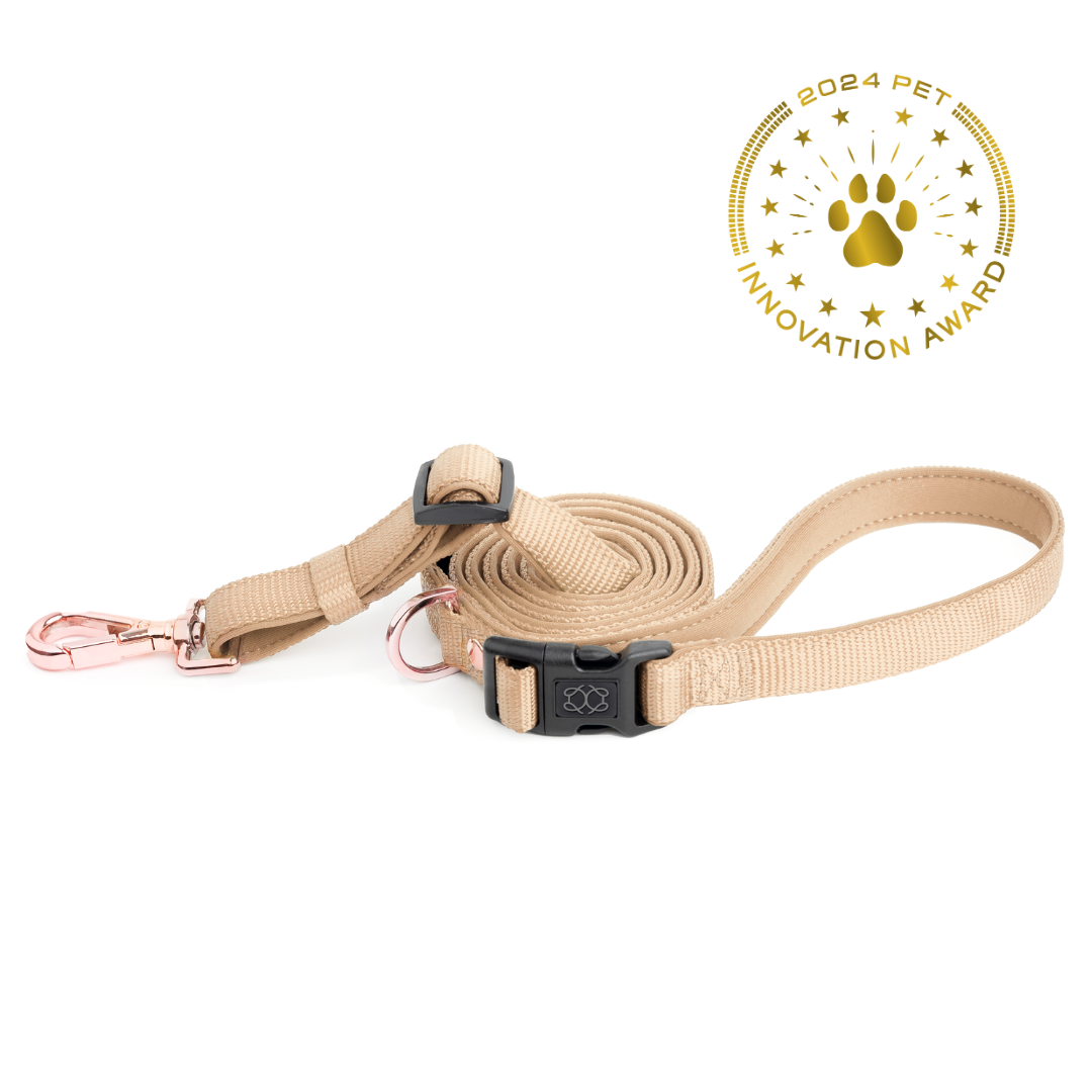 Secure In Place Dog Leash Dune Doodle Couture