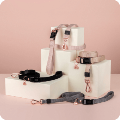 Pet Collar with stylish DC logo in rose gold, Black, Dune, Blush and Steel Gray