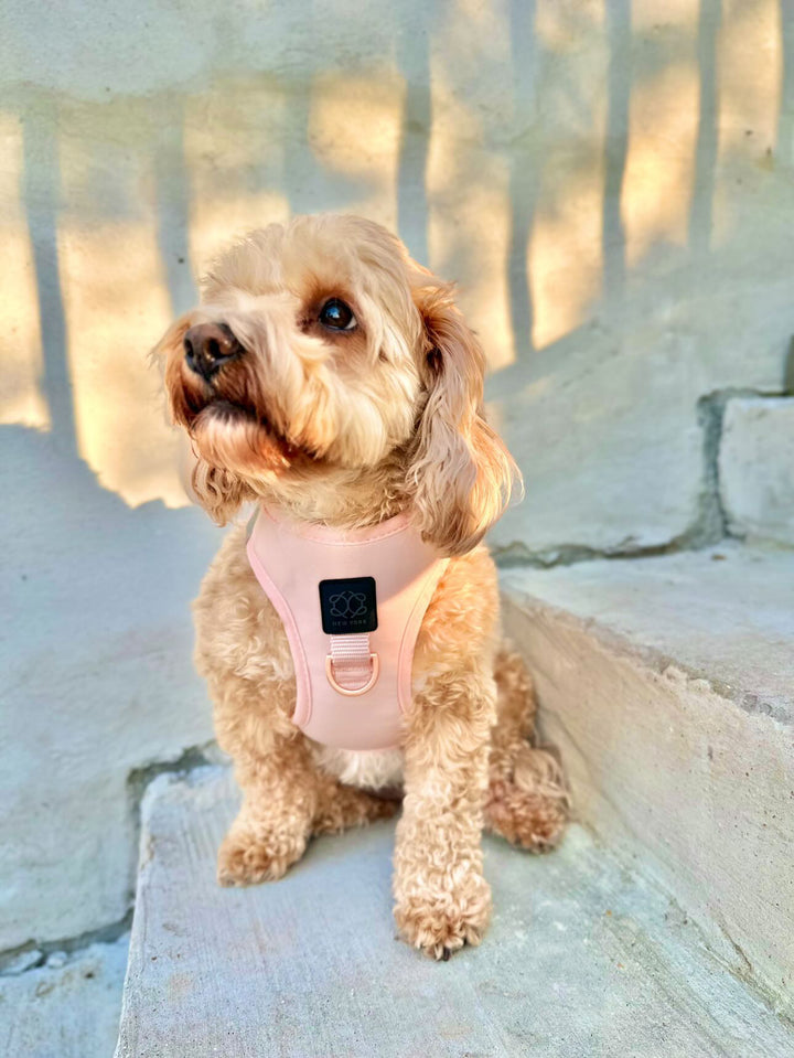 Luxe No-Pull Step-In Dog Harness - Blush