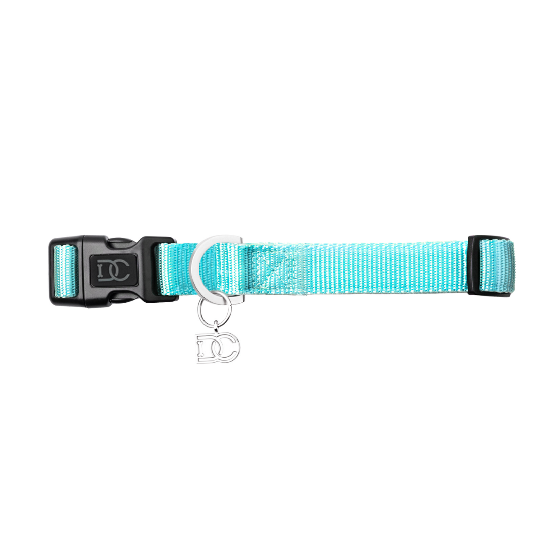 A sophisticated soft padded neoprene teal blue Pet Collar With Charm #color_fifth_avenue_blue