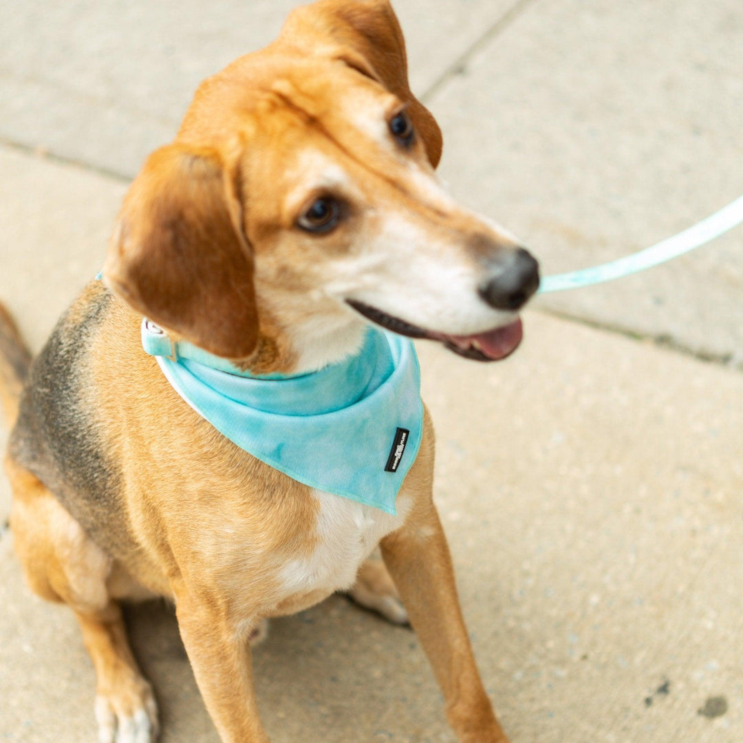 Aqua Cooling Dog Bandana