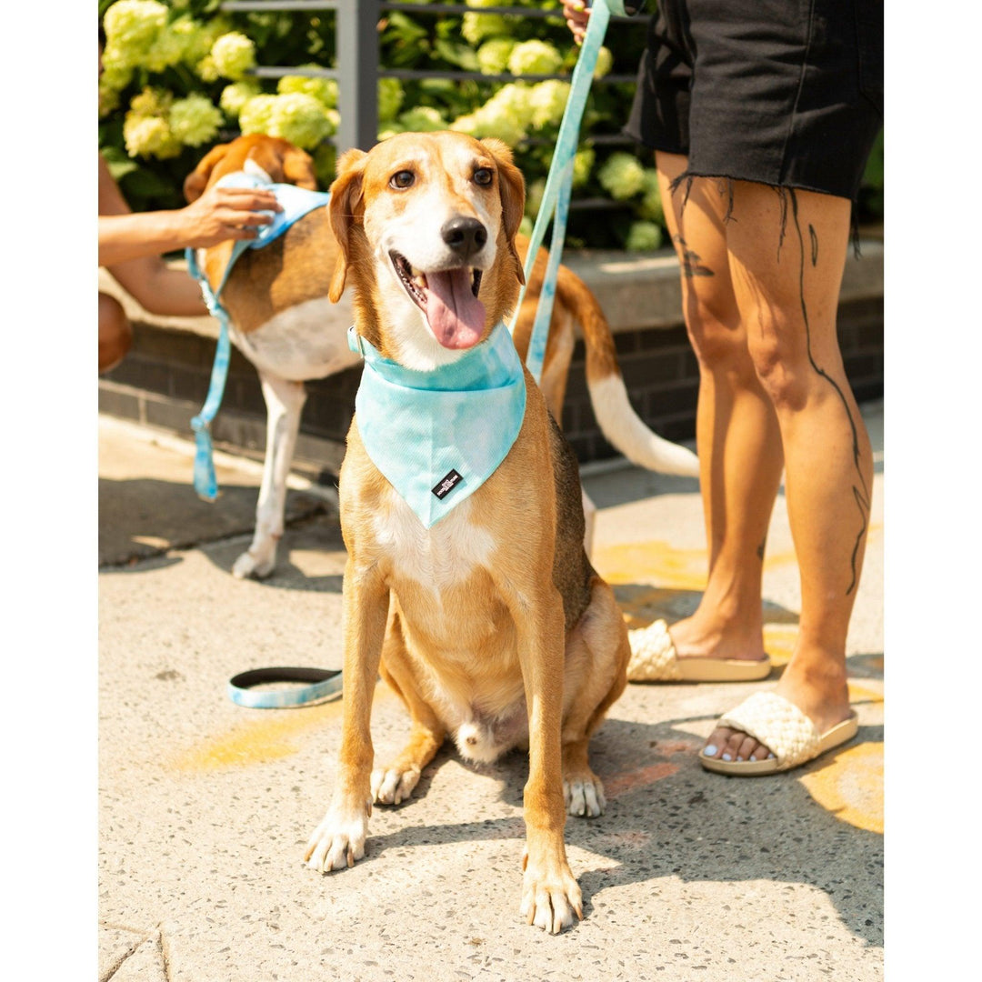 Aqua Cooling Dog Bandana