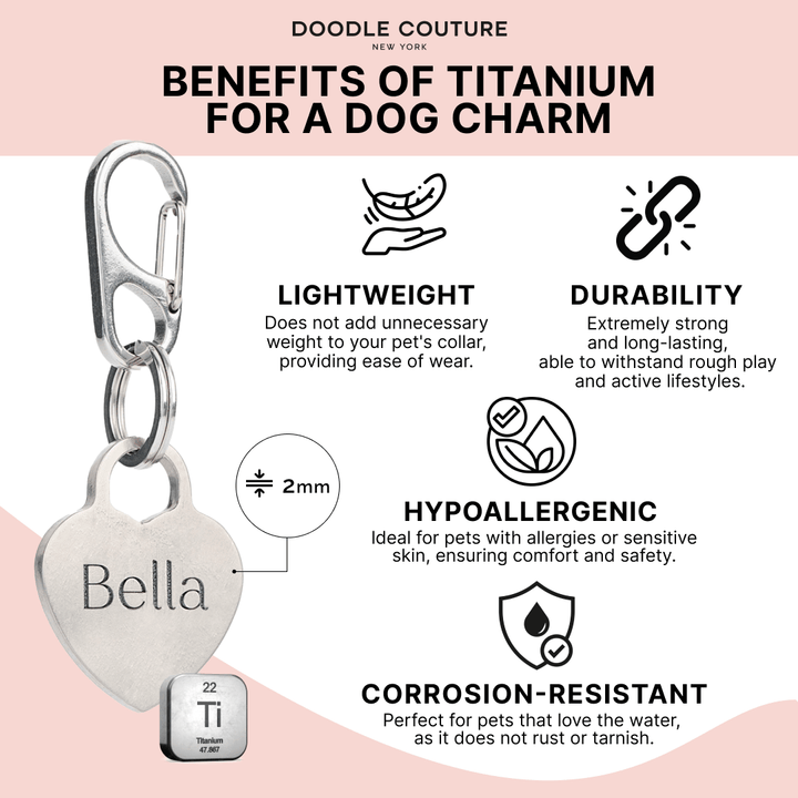 Bespoke Titanium Pet ID Charm by Doodle Couture