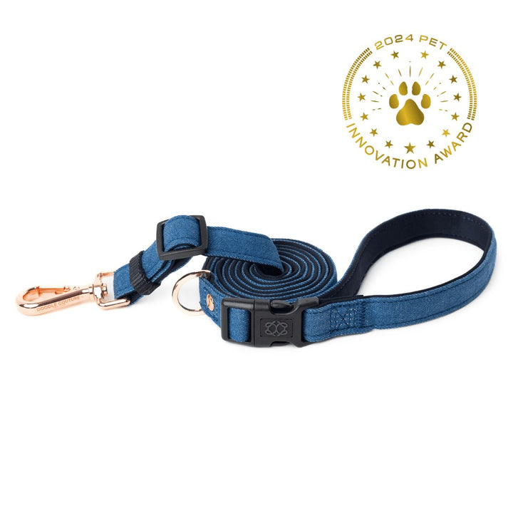 designer dog leashes and collars, designer dog collar and leash, pet accessories designer, fancy harness for dogs, luxury dog harness, fancy dog stuff, pet accessories designer, stylish dog leash