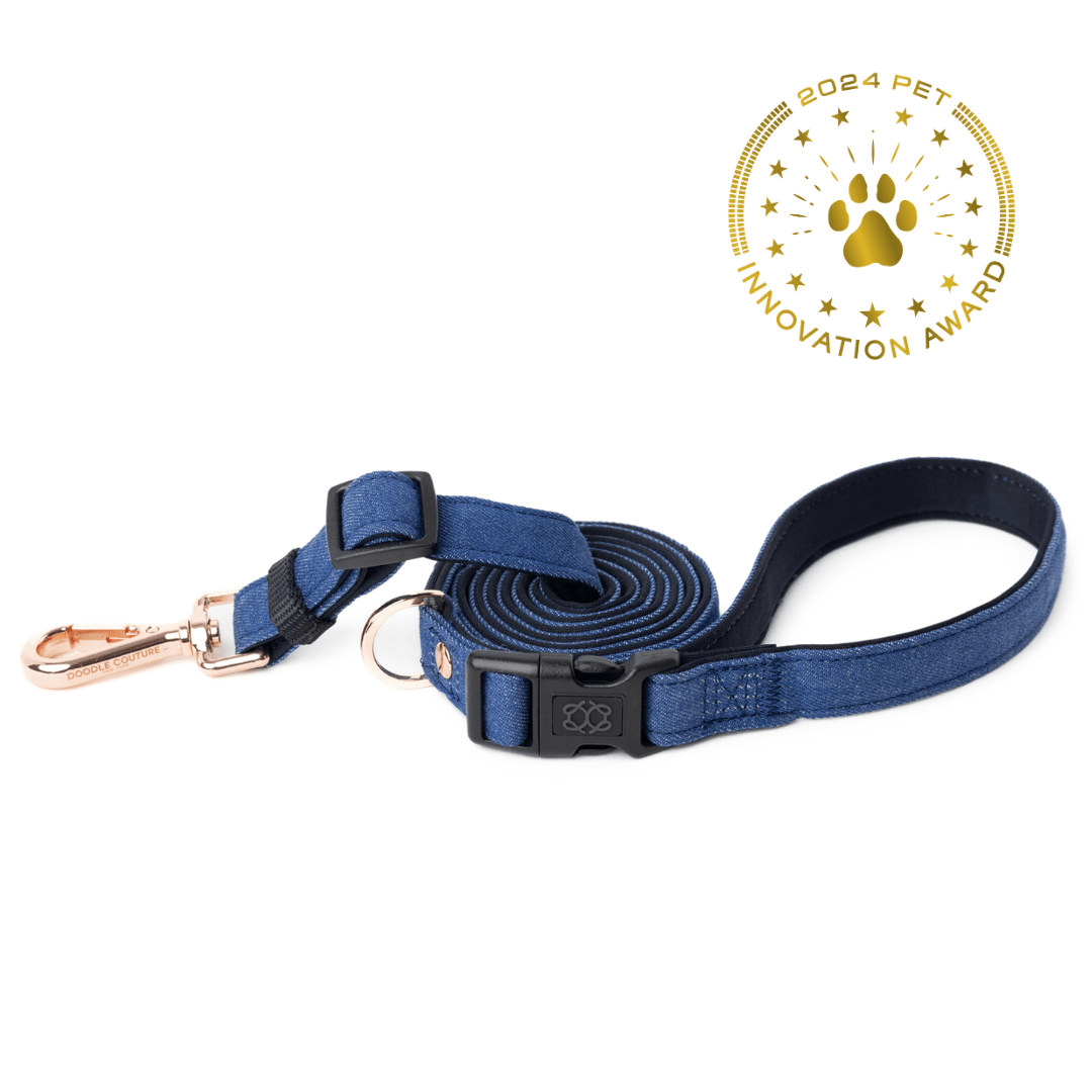 designer dog leashes and collars, designer dog collar and leash, pet accessories designer, fancy harness for dogs, luxury dog harness, fancy dog stuff, pet accessories designer, stylish dog leash