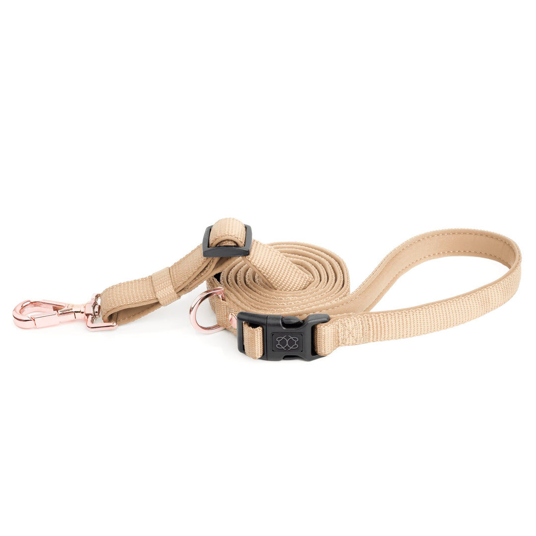 designer dog leashes and collars, designer dog collar and leash, pet accessories designer, fancy harness for dogs, luxury dog harness, fancy dog stuff, pet accessories designer, stylish dog leash