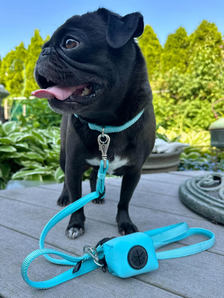 designer dog leashes and collars, designer dog collar and leash, pet accessories designer, fancy harness for dogs, luxury dog harness, fancy dog stuff, pet accessories designer, stylish dog leash