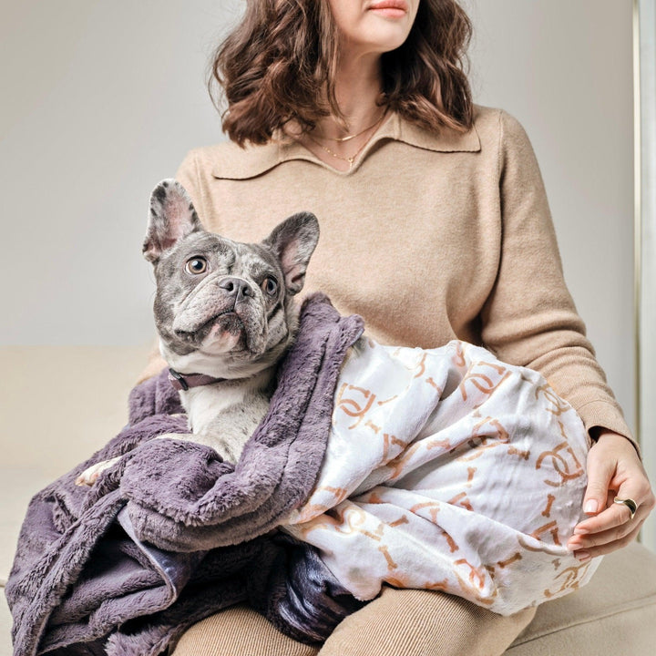 A dog covered with a waterproof dog blanket