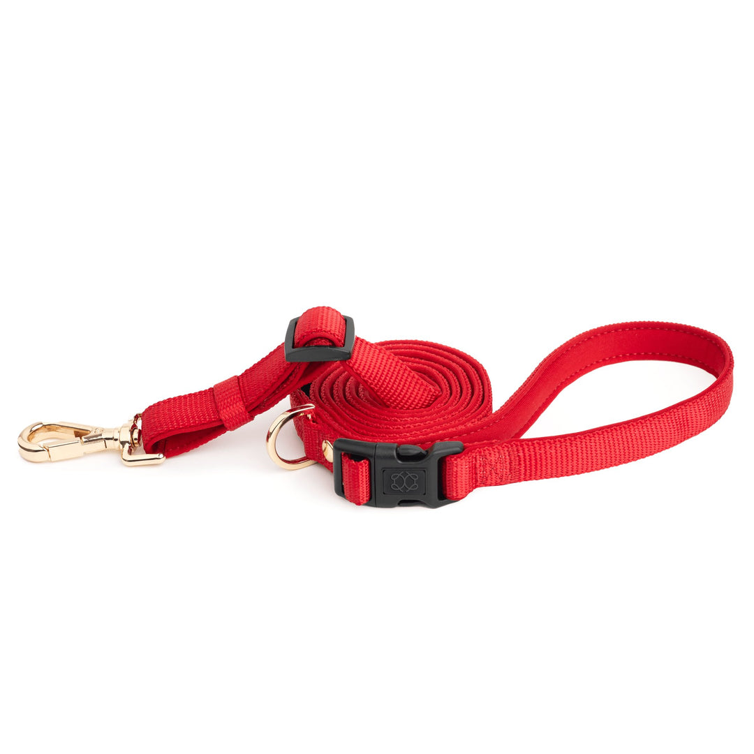 designer dog leashes and collars, designer dog collar and leash, pet accessories designer, fancy harness for dogs, luxury dog harness, fancy dog stuff, pet accessories designer, stylish dog leash