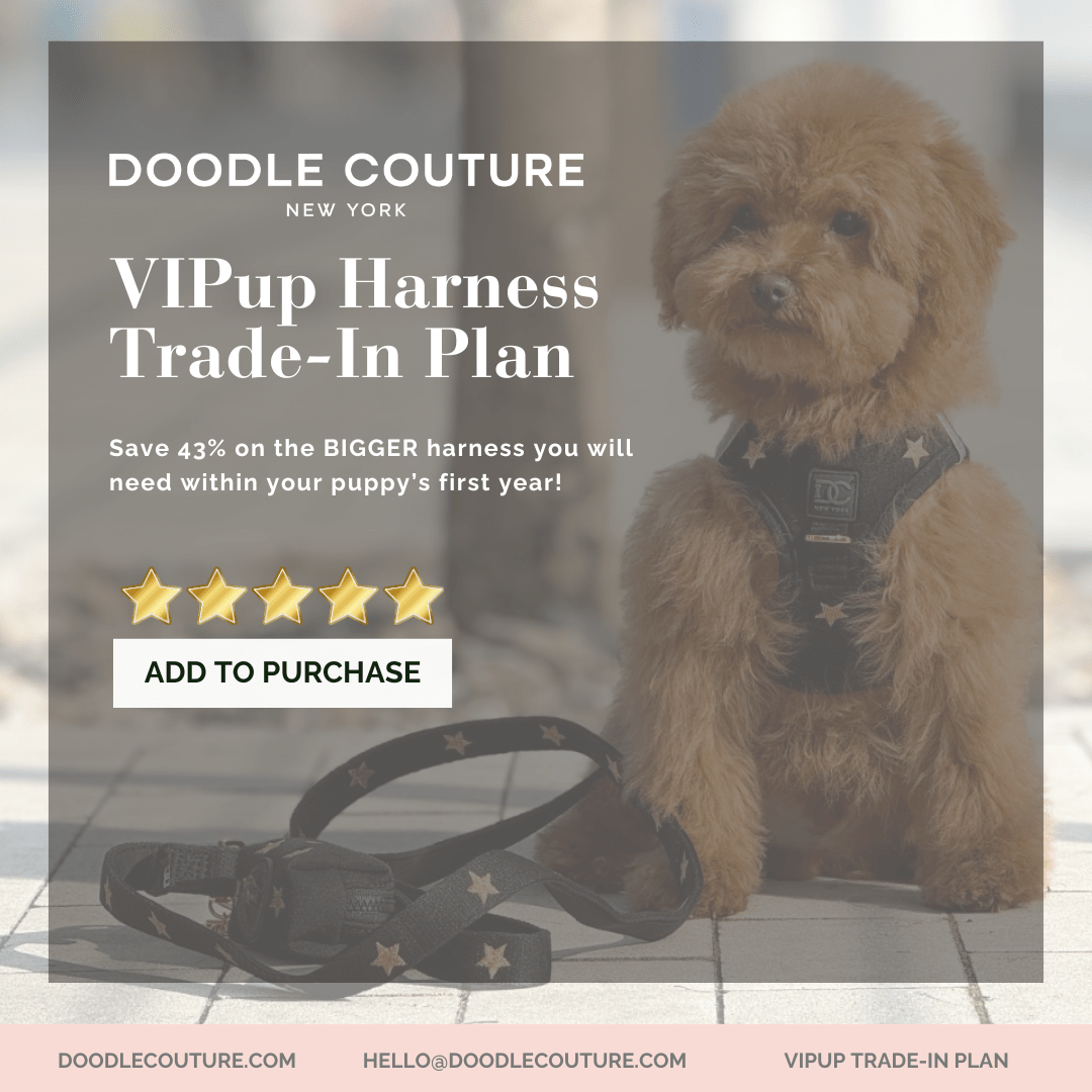 VIPup Harness Replacement Plan