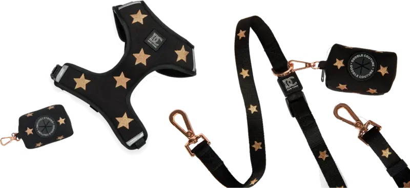 Fido's Pleasure FDT Artisan Brown Leather Dog 【Collar】 with Amazing Studs :  K9 Equipment: K9 Muzzles, Dog Harnesses, K9 Collars, Leashes