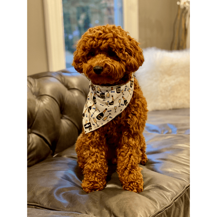 The Wrap Dog Bandana - Champs & Treats