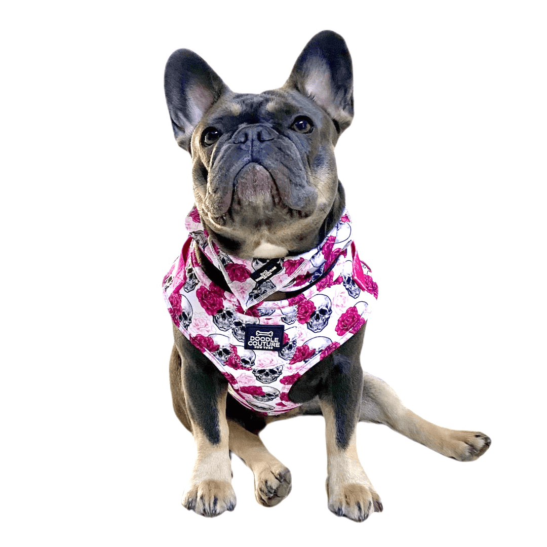 The Wrap Dog Bandana - Skulls & Roses