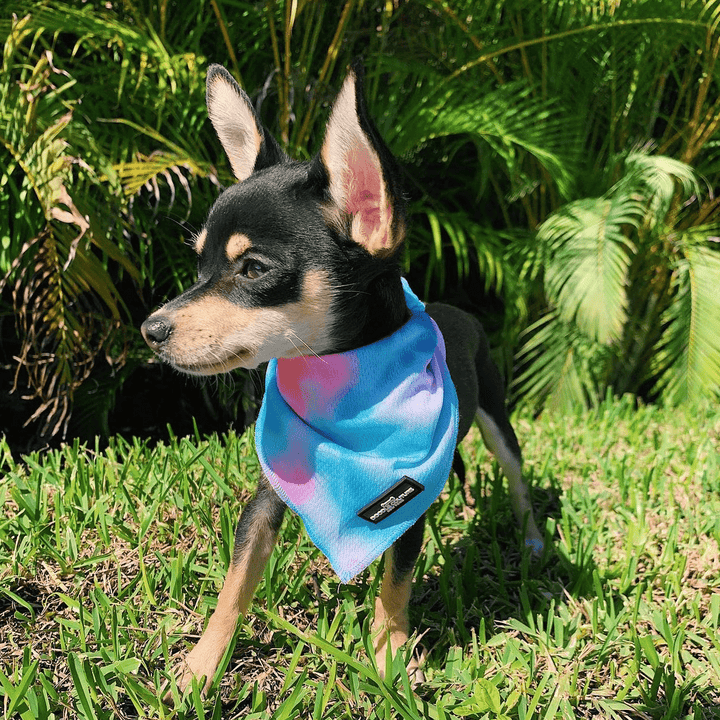 The Wrap Dog Bandana - Woofstock Tie Dye