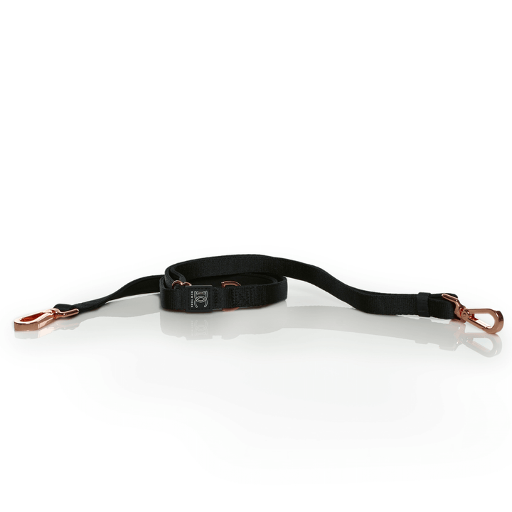 Anything But Basic Black Urban Traffic Adjustable Leash