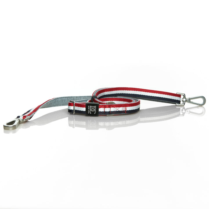 Urban Traffic Adjustable Leash - Champion Gray