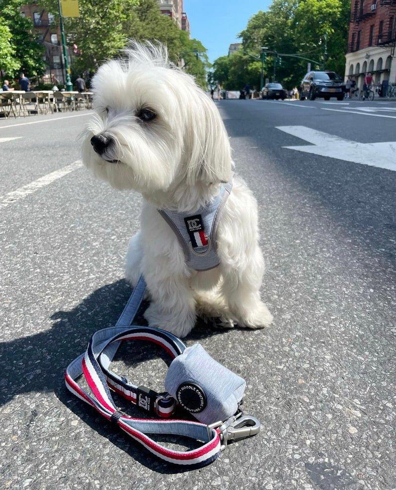 Urban Traffic Adjustable Leash - Champion Gray