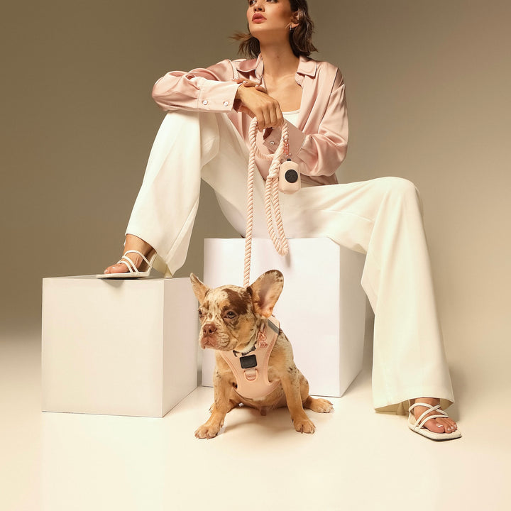 Luxe No Pull, Step-In Dog Walking Set - Blush
