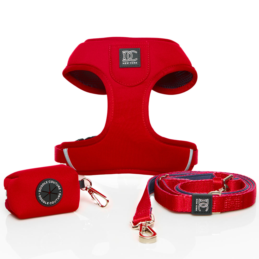 Luxury Adjustable Walking Set - Royalty Red
