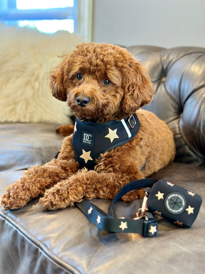 Limited Edition Rockstar Embroidered Harness