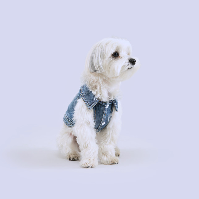 Denim Dog Vest