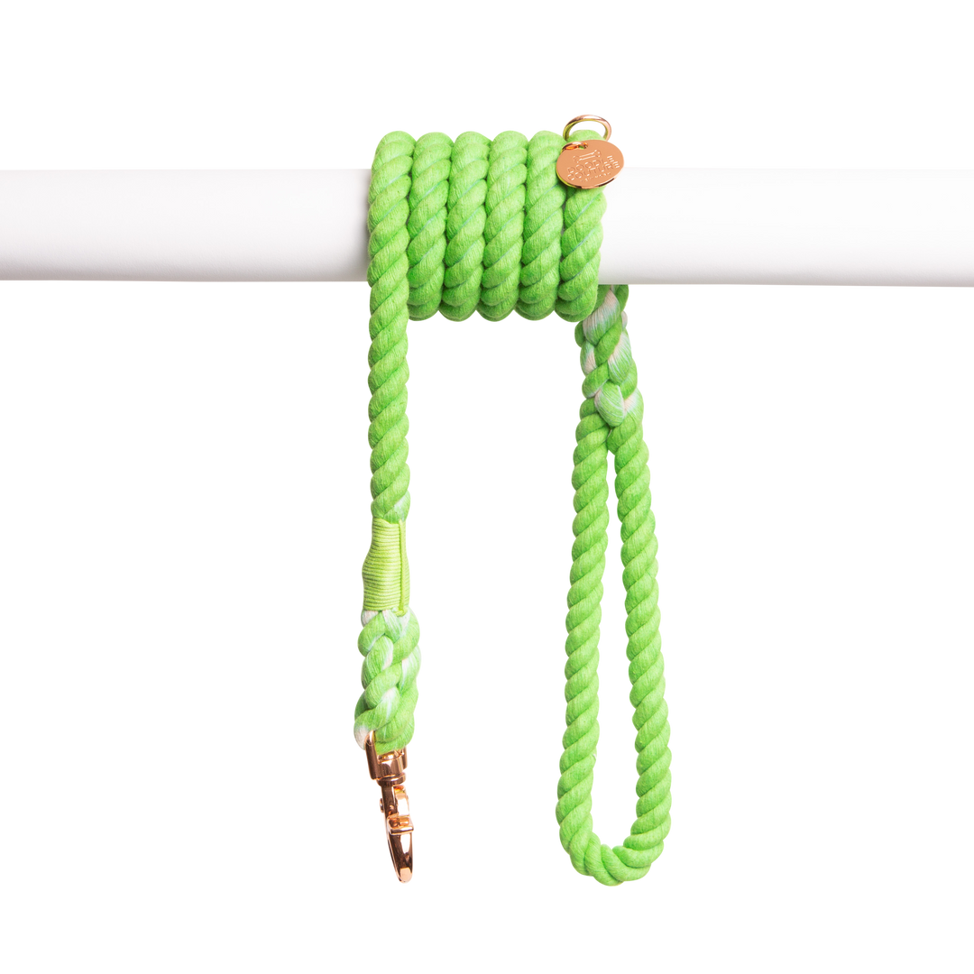 Bowling green lead natural rope dog leash