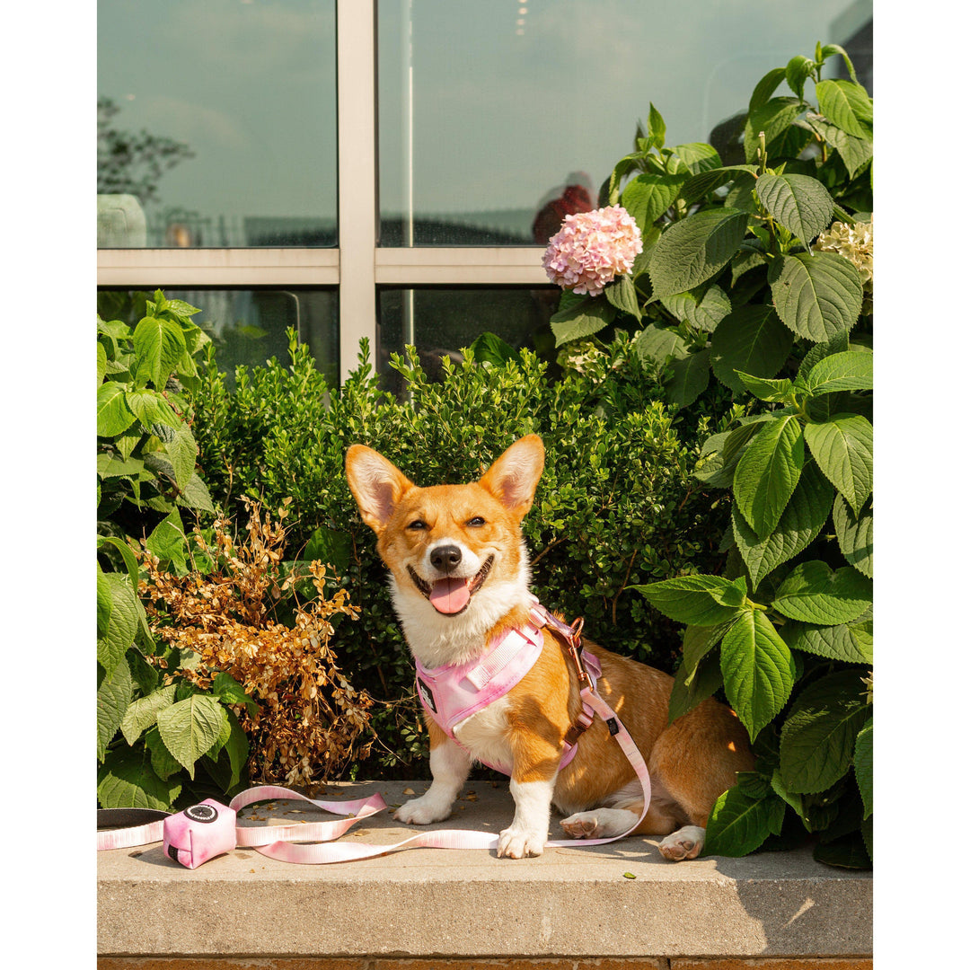 The Runway Collection Dog Leash - East Hampton Pink