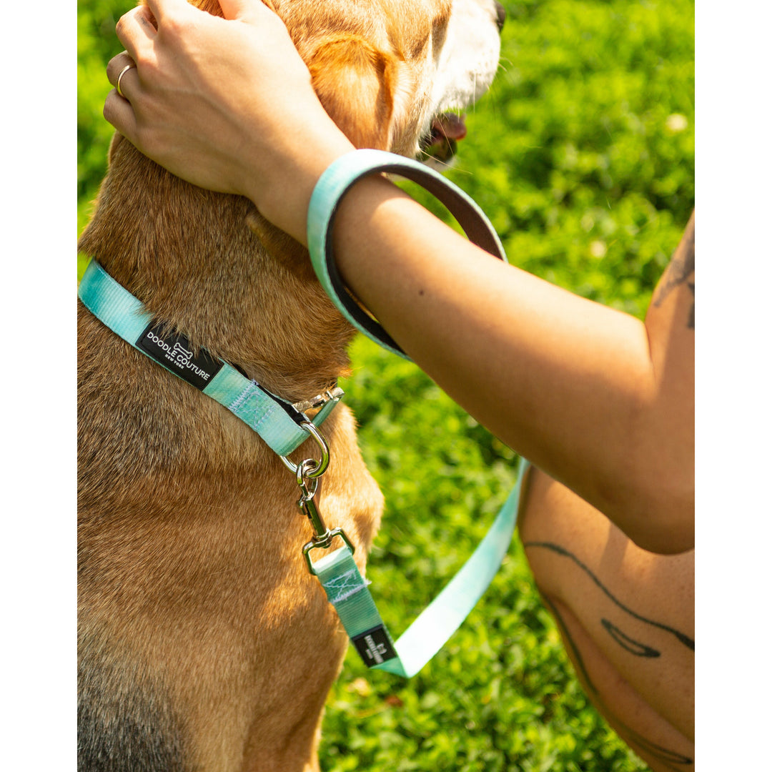 Dog Collar - Amagansett Aqua